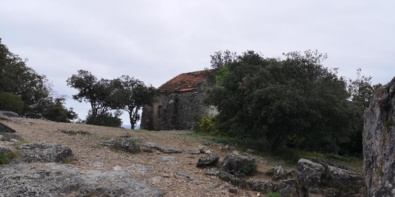 Le Mimosa Bed & Breakfast Saint-Saturnin-de-Lucian Dış mekan fotoğraf