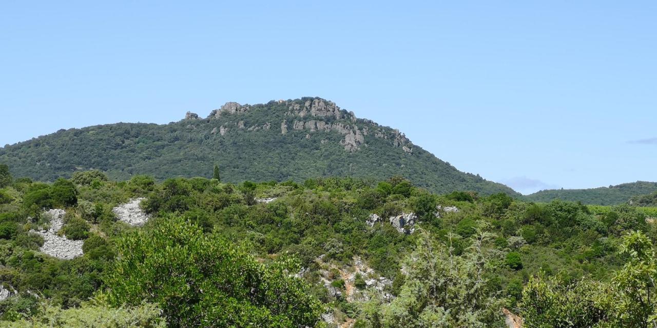 Le Mimosa Bed & Breakfast Saint-Saturnin-de-Lucian Dış mekan fotoğraf