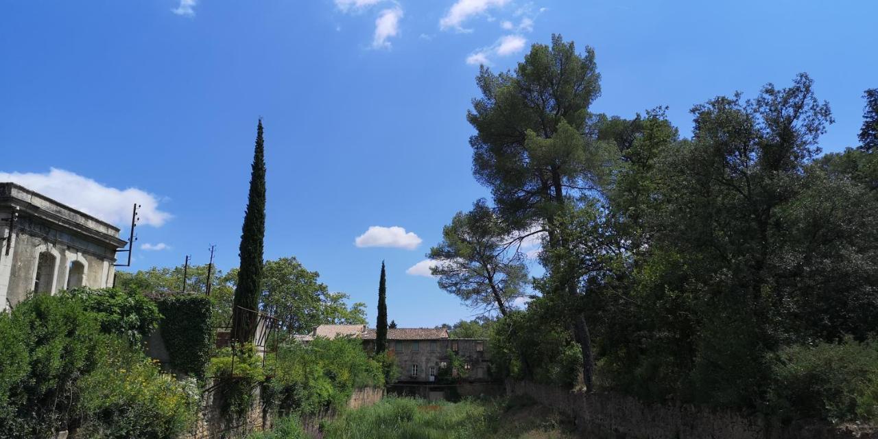 Le Mimosa Bed & Breakfast Saint-Saturnin-de-Lucian Dış mekan fotoğraf
