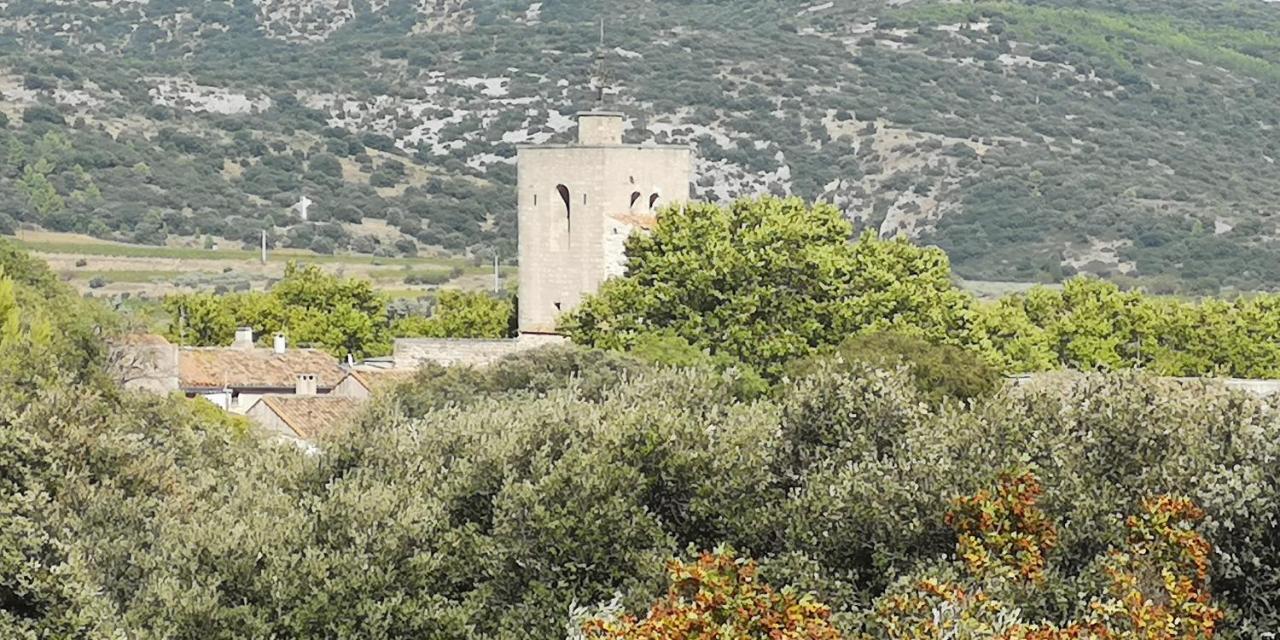 Le Mimosa Bed & Breakfast Saint-Saturnin-de-Lucian Dış mekan fotoğraf