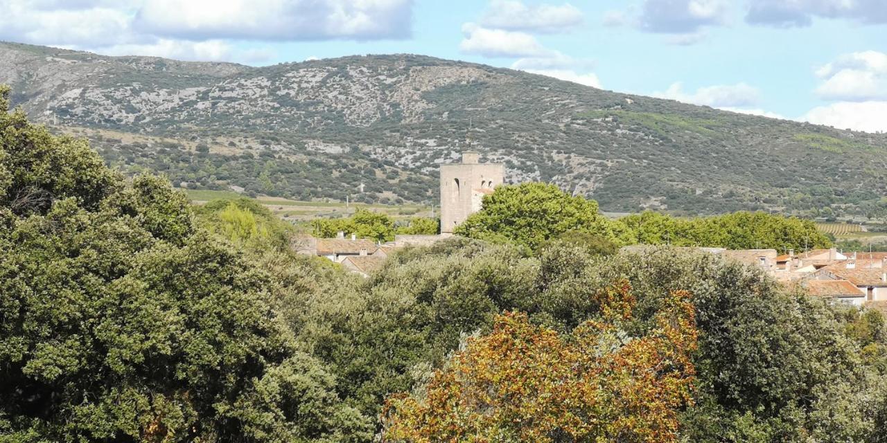 Le Mimosa Bed & Breakfast Saint-Saturnin-de-Lucian Dış mekan fotoğraf