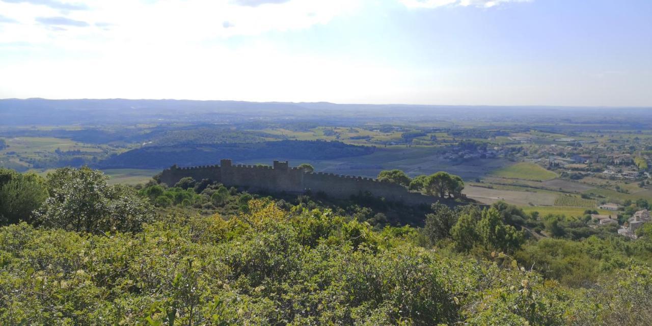 Le Mimosa Bed & Breakfast Saint-Saturnin-de-Lucian Dış mekan fotoğraf