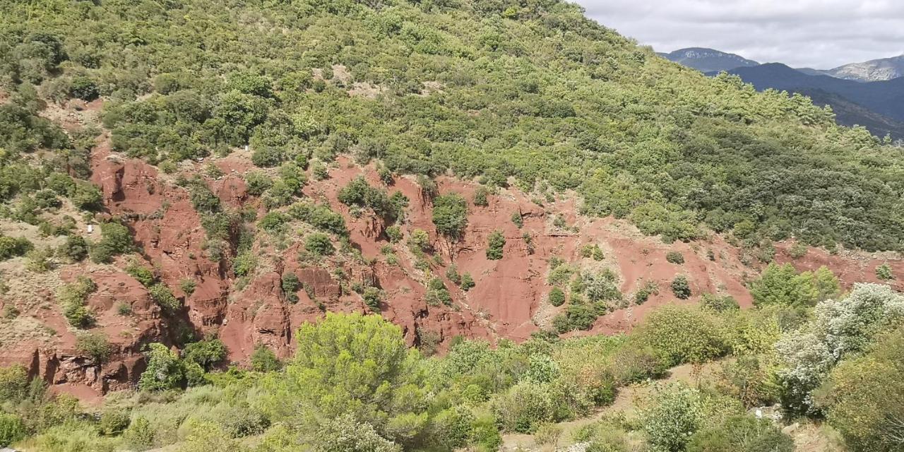 Le Mimosa Bed & Breakfast Saint-Saturnin-de-Lucian Dış mekan fotoğraf