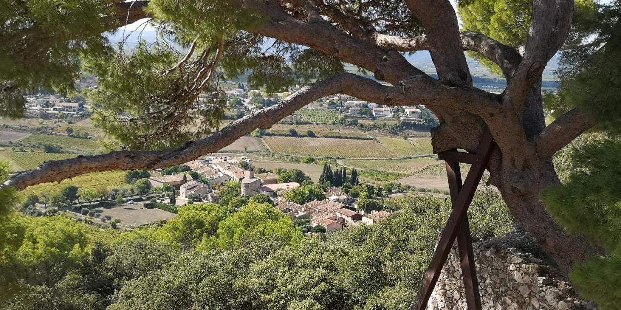 Le Mimosa Bed & Breakfast Saint-Saturnin-de-Lucian Dış mekan fotoğraf