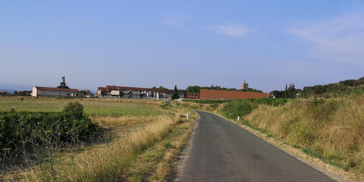 Le Mimosa Bed & Breakfast Saint-Saturnin-de-Lucian Dış mekan fotoğraf