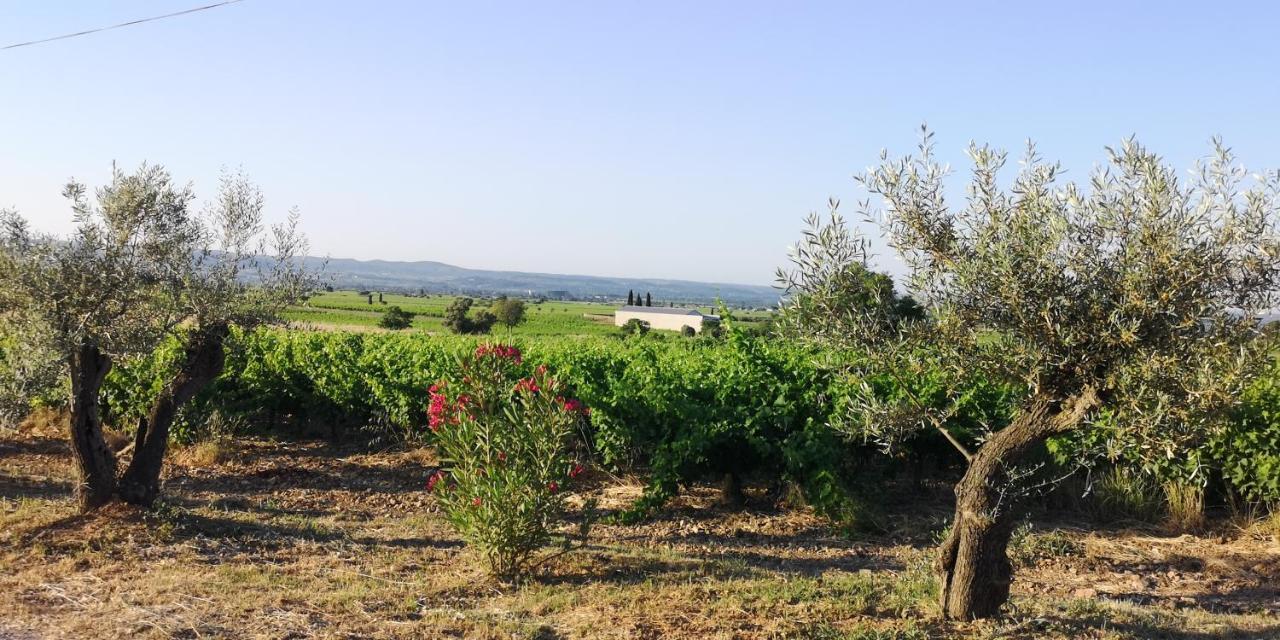Le Mimosa Bed & Breakfast Saint-Saturnin-de-Lucian Dış mekan fotoğraf