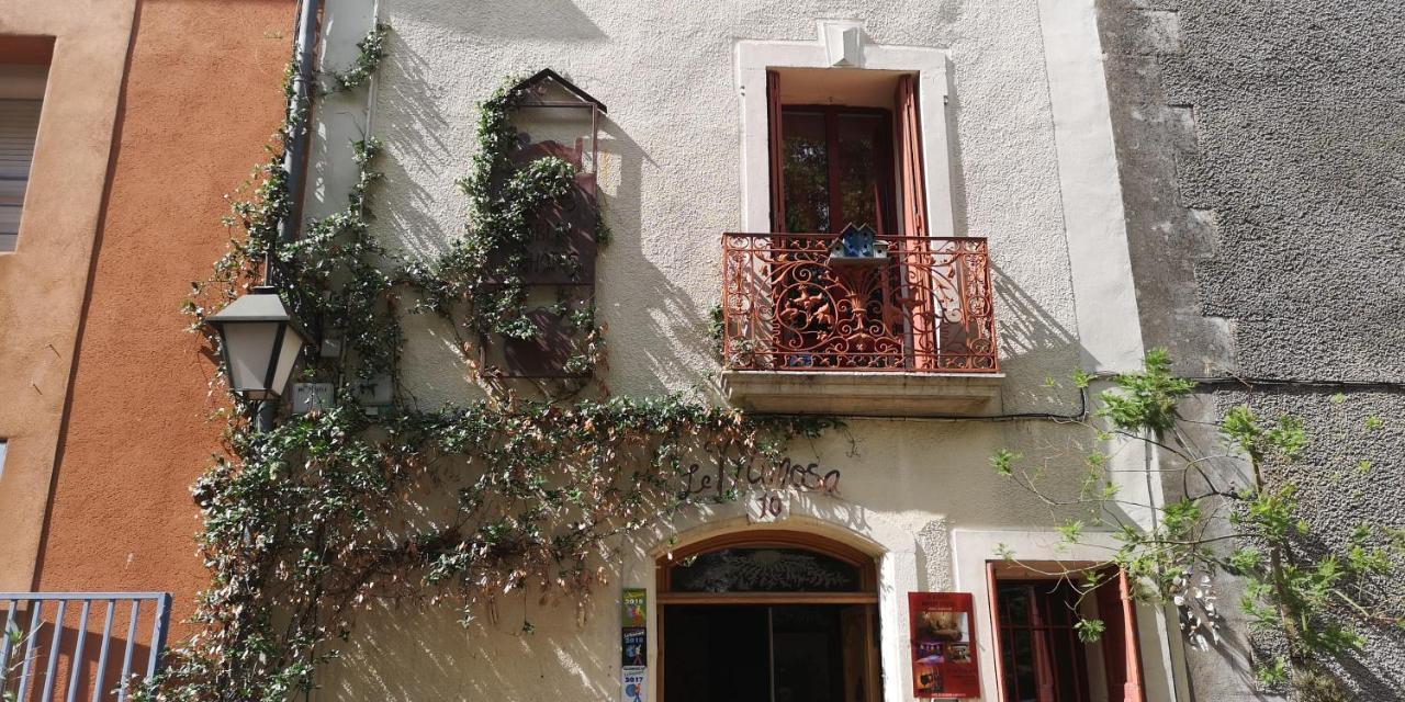 Le Mimosa Bed & Breakfast Saint-Saturnin-de-Lucian Dış mekan fotoğraf