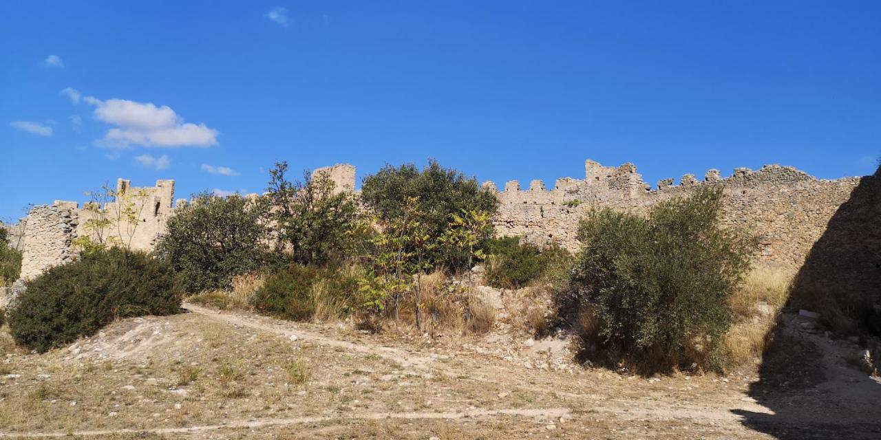 Le Mimosa Bed & Breakfast Saint-Saturnin-de-Lucian Dış mekan fotoğraf