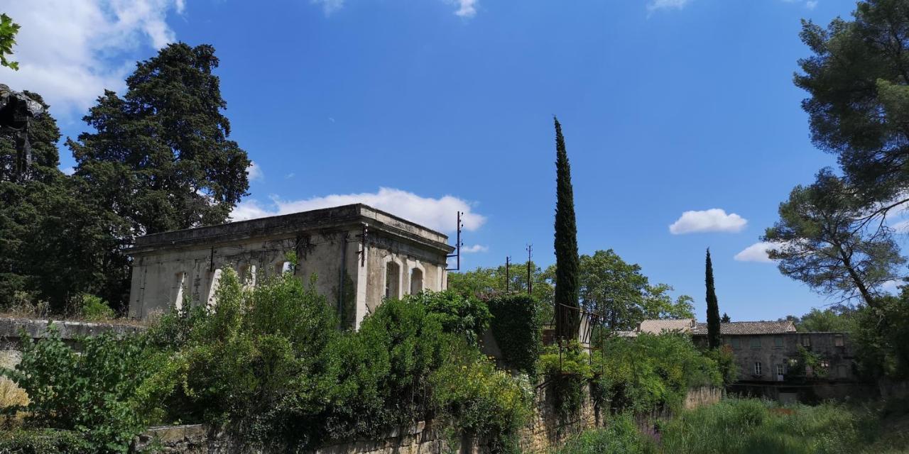 Le Mimosa Bed & Breakfast Saint-Saturnin-de-Lucian Dış mekan fotoğraf