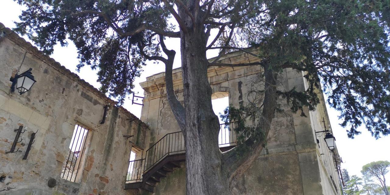 Le Mimosa Bed & Breakfast Saint-Saturnin-de-Lucian Dış mekan fotoğraf