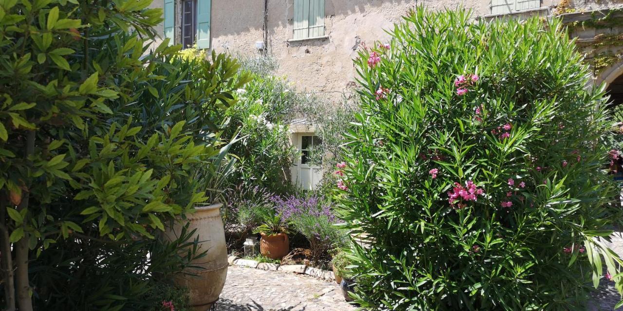 Le Mimosa Bed & Breakfast Saint-Saturnin-de-Lucian Dış mekan fotoğraf